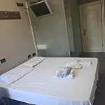 Driti Albania * Тирана