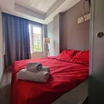 Driti Albania * Тирана