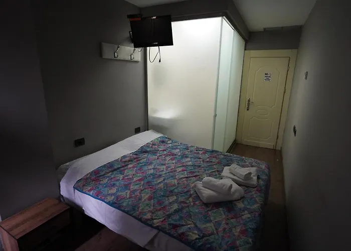 Driti Albania Tirana