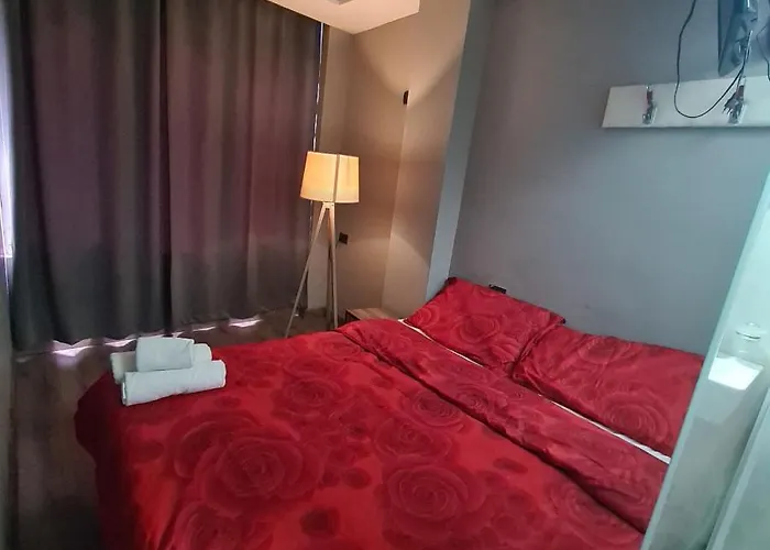 Driti Albania Tirana